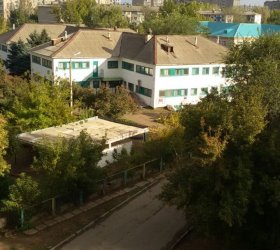 Берёзка